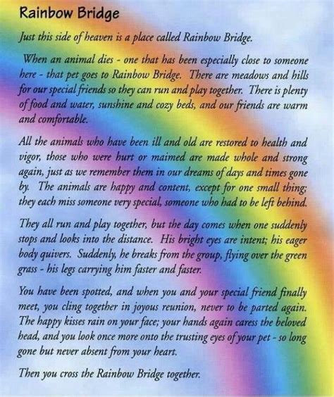 On this day we remember our pets that have passed and celebrate the lives that they lived and how they changed ours for the better. Rainbow bridge pet prayer | Rainbow bridge poem, Rainbow ...