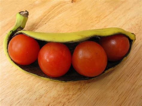 A Banana And Some Tomatoes In A Closed Container Will Ripen Overnight