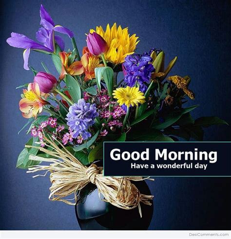 Good morning images wallpaper photo pics pictures free in hindi download for whatsaap in hd for best friend latest all for her. Good Morning - Have A Wonderful Day - DesiComments.com