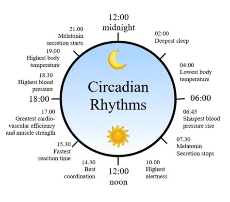 What Is A Circadian Rhythm And How Can You Fix Your Body Clock