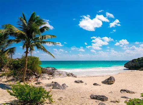 7 Best Beaches In Playa Del Carmen Peter Pan Traveler