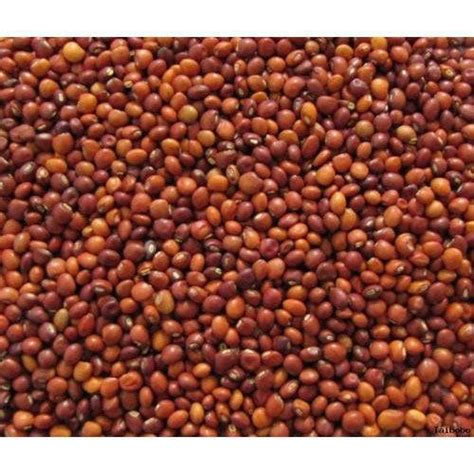 Gram Seed Wholesale Price And Mandi Rate For Gram Seed