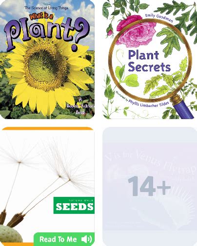 From Seed To Plant Childrens Book Collection Discover Epic Children
