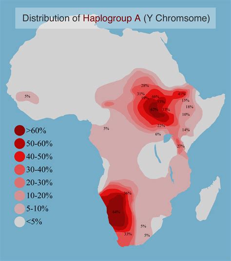 Distribution Of Y Chromosome Haplogroup A In Africa Map History Africa Map