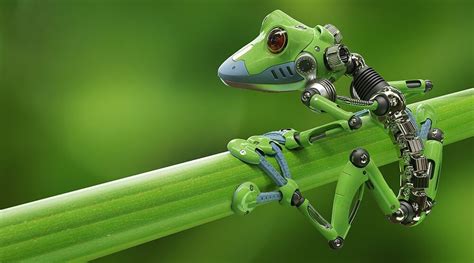 Scientists Create The First Living Robot Made From Frog Stem Cells