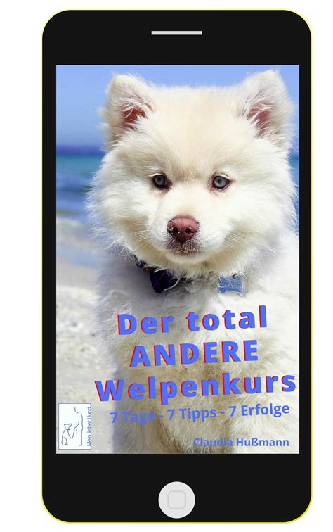 Um deinen welpen stubenrein zu bekommen, ist es wichtig, dass du diese schritte befolgst: So lernt dein Welpe zu kommen | Welpen, Hunde welpen ...