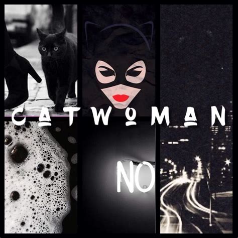 Catwoman Anesthetic 🐾 Dc Entertainment Amino