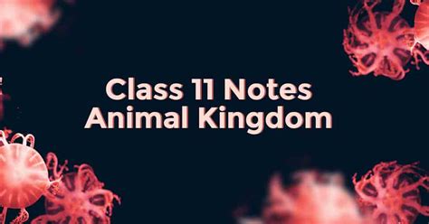 Animal Kingdom Class 11 Notes Vidyakul