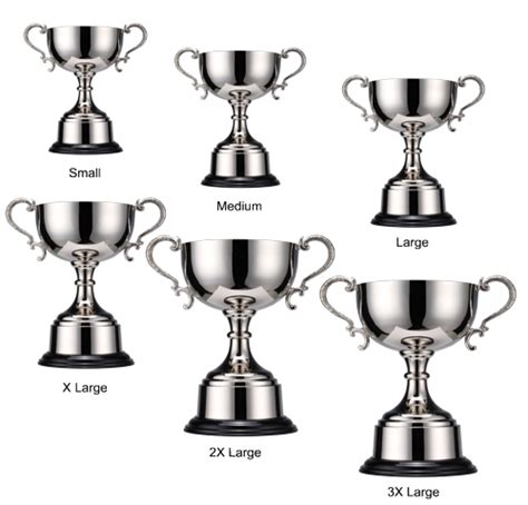 Brighton Trophy Cup Apex Trophies And Engraving