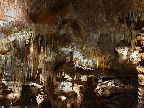 Tantanoola Caves Conservation Park Updated 2020 All You Need To Know