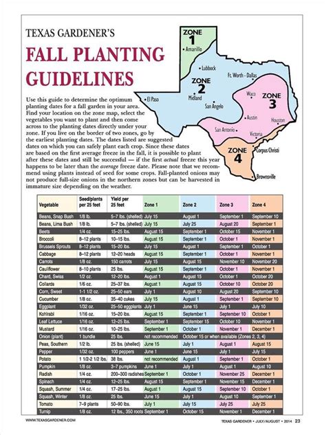 Flowers to plant now in texas. Texas Gardener - July-August 2014 | Fall plants, Fall ...