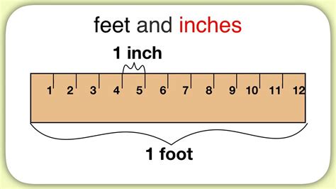 How Many Inches Is 24 Feet Update New