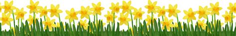 Daffodil Clipart Grass Daffodil Grass Transparent Free For Download On