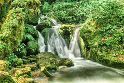 Dschungel Made In Switzerland Foto And Bild Landschaft Wasserfälle