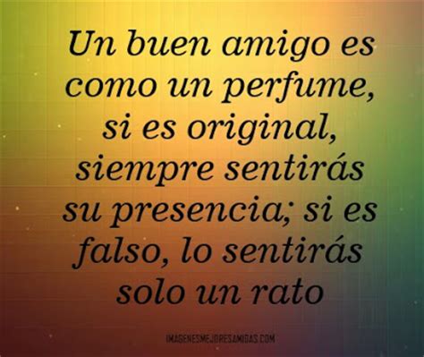 La sección cartas para amigas es muy especial, pues todos tenemos una mejor amiga a la que queremos agasajar y no hay manera mejor que hacerlo a través de verdaderas palabras de amistad salidas del corazón, como los textos que encontrareis aquí. 100 Frases para dedicar a mi mejor amigo