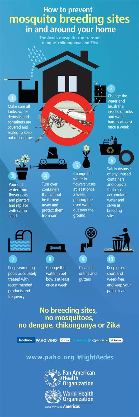 Prevention Tips For Mosquito Sites Infographic Visualistan