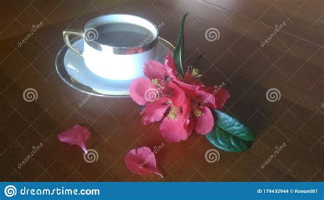 Joy Of Coffee Time Stock Photo Image Of Pink Lighting 179432944