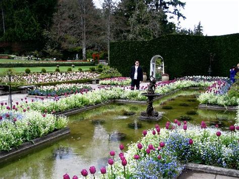 Our tour of butchart gardens will begin at the meeting point on douglas street in the centre of victoria. Italian Gardens - Picture of Butchart Gardens, Central ...