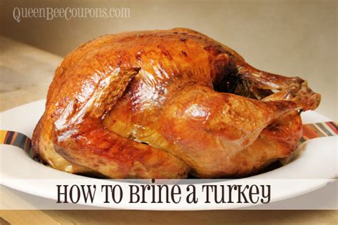 How To Brine A Turkey Before You Roast It Perfect