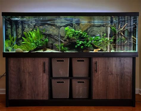 125 Gal Setup Fish Tank Terrarium Aquarium Fish Tank Fish Tank Design