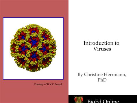 Introduction To Viruses Bioed Online