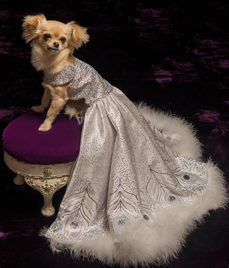 Canine Couture The Most Luxurious Dresses Ever Made For Dogs Marc Petite