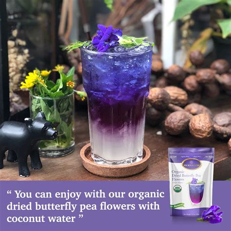Galaxy Ade Cocktail By Organic Dried Butterfly Pea Flowers Clitoria Ternatea By Picknature