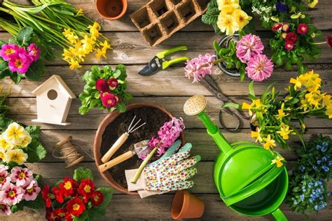 7 Essential Gardening Tools For Beginners Beadnova