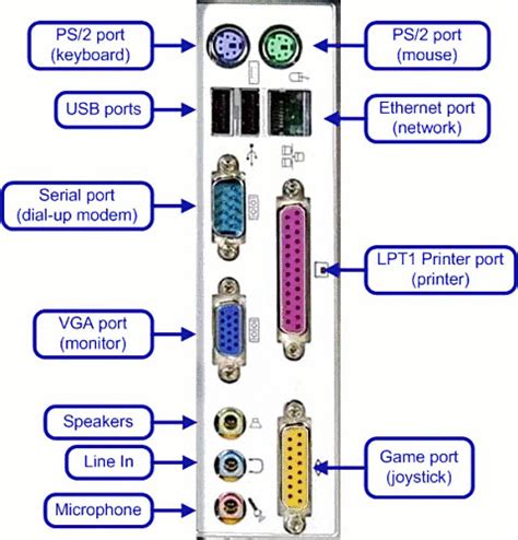 Pc Ports Computerhardwareconnectorspcportspnghtml