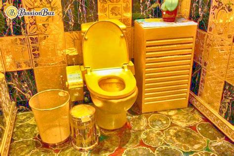 Top 10 Most Expensive Toilets In The World 2023