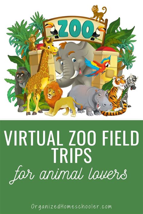 Take A Fun Virtual Zoo Field Trip ~ The Organized Homeschooler In 2020