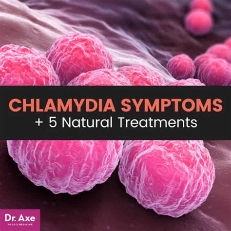 Chlamydia Symptoms Natural Treatments For Relief Dr Axe