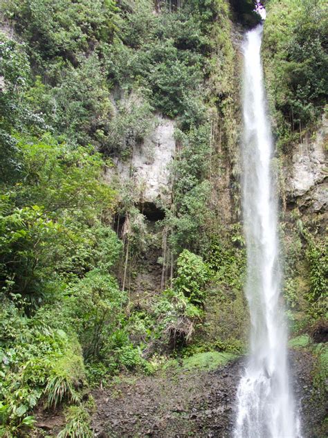 middleham falls morne trois pitons national park dominica tour tickets trip advisor