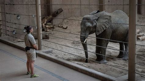 Zoos A Fun And Educational Experience For All Ages
