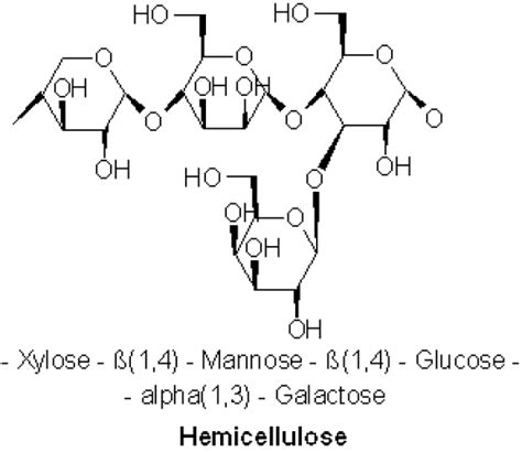 Difference Between Cellulose And Hemicellulose Compare The Difference Between Similar Terms