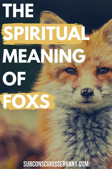 Fox Spiritual Meaning The Amazing Symbolism Of Seeing A Fox
