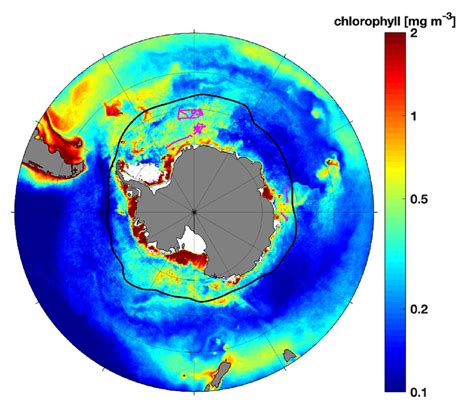 Chlorophyll Ocean Climatology Of Sea Surface Chlorophyll For Eastern