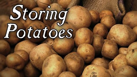 Last updated on january 1, 2021 by carolyn shearlock. Long Term Potato Storage - Q&A - YouTube