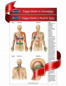 Healing Hands Pocket Chart Trigger Points Reflexology Acupuncture