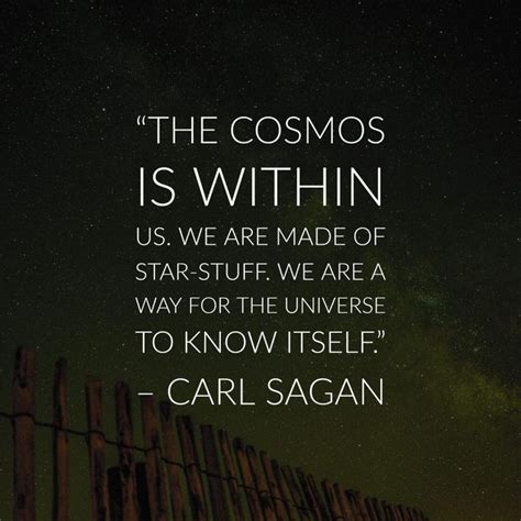 The Cosmos Is Within Us We Are Made Of Star Stuff We Are A Way For