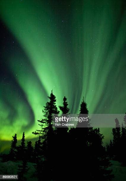 Northern Lights Fairbanks Photos And Premium High Res Pictures Getty