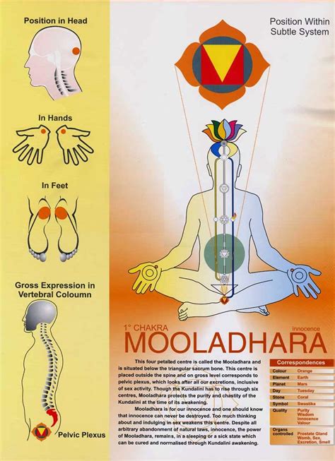 Mooladhara Chakra Via Kundalini Tradition Sahaja Yoga Sahaja Yoga