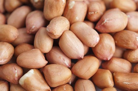 Controlled Intake Of Peanuts May Be Helpful Ecarf