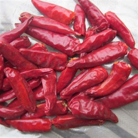Chinese Red Dry Chili Chaotian Chilli Zidantou Bullet Chili Cayenne
