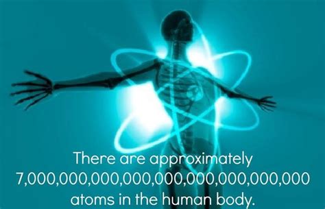 Number Of Atoms In The Human Body Things For My Wall Pinterest