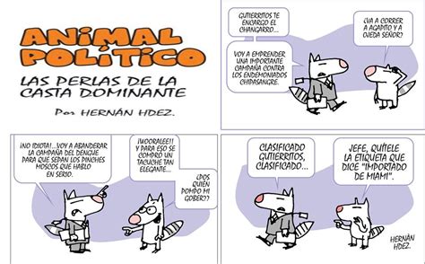 Mass Opinión Animal Político V