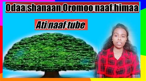 Odaa Shanan Oromoo Naaf Himaa Youtube