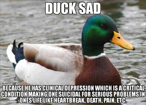 Ok Sad Duck Rokbuddyretard