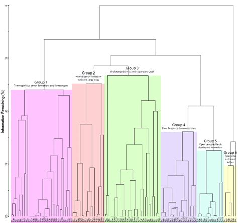 Dendrogram Illustrating The Results Of The Cluster Analysis Which Was