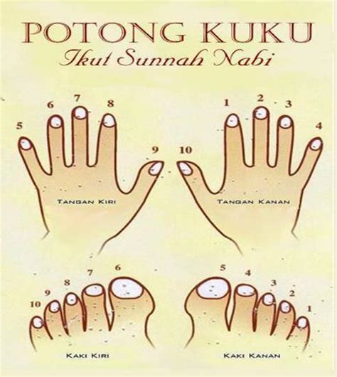 Check spelling or type a new query. SumeSakan: Potong Kuku Ikut sunnah Nabi